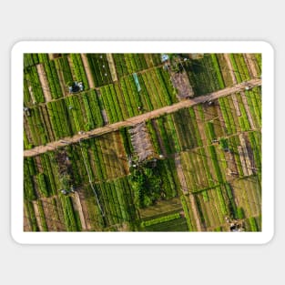 Vegetable village aerial view in Hoi An, Vietnam Sticker